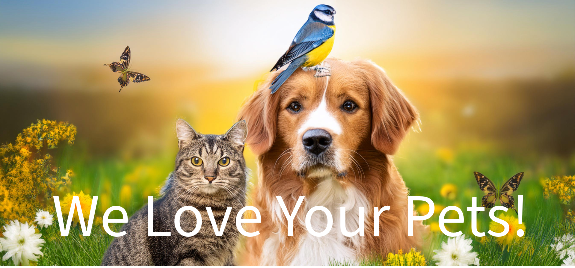 We are Pet Friendly